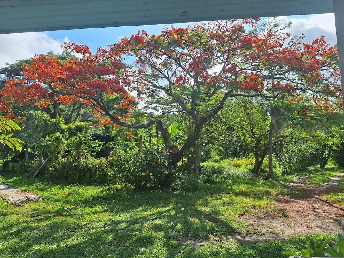 Ferias Em Floripa Villa Florianopolis