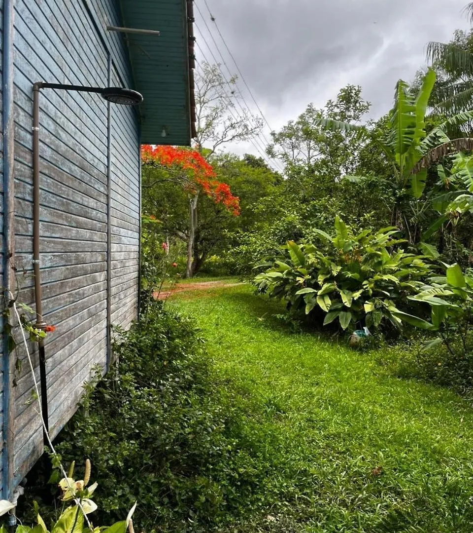 Ferias Em Floripa Villa Florianopolis Holiday home